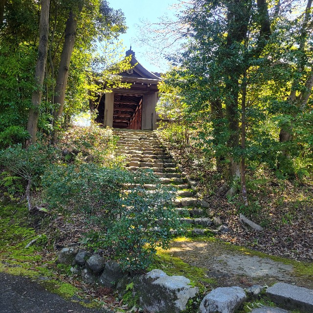 f:id:atoriatoriatori:20240430193823j:image