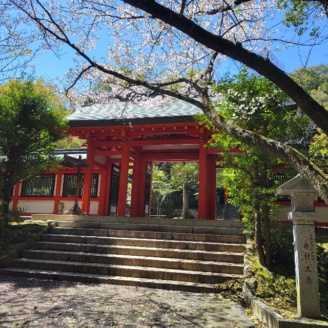 f:id:atoriatoriatori:20240430193829j:image
