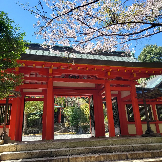 f:id:atoriatoriatori:20240430193836j:image