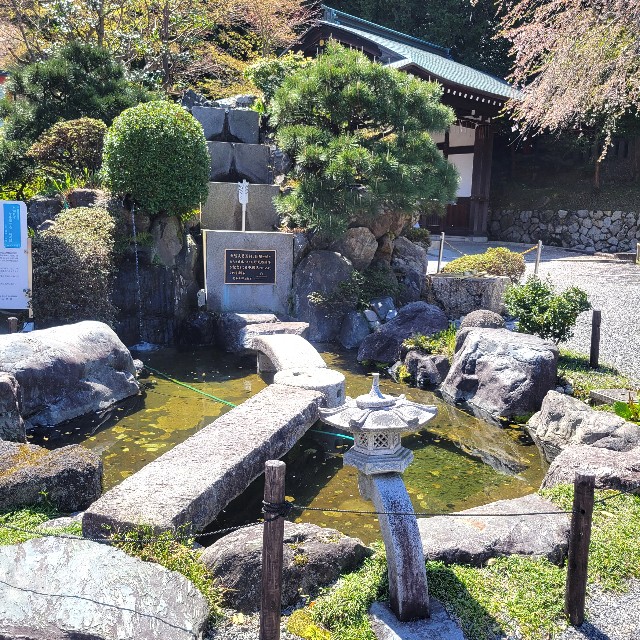 f:id:atoriatoriatori:20240501092548j:image