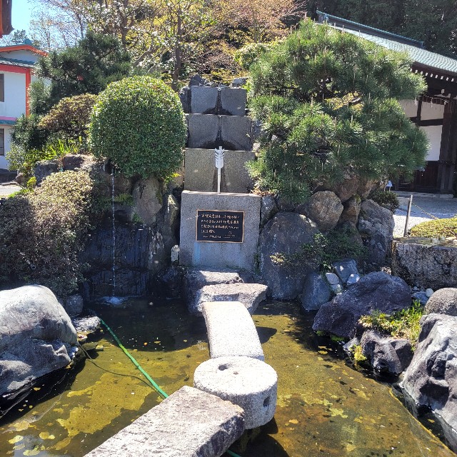 f:id:atoriatoriatori:20240501092555j:image