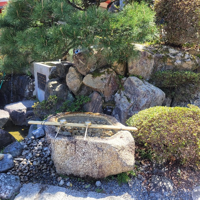 f:id:atoriatoriatori:20240501092606j:image
