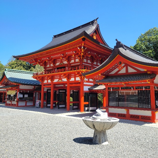 f:id:atoriatoriatori:20240501092622j:image