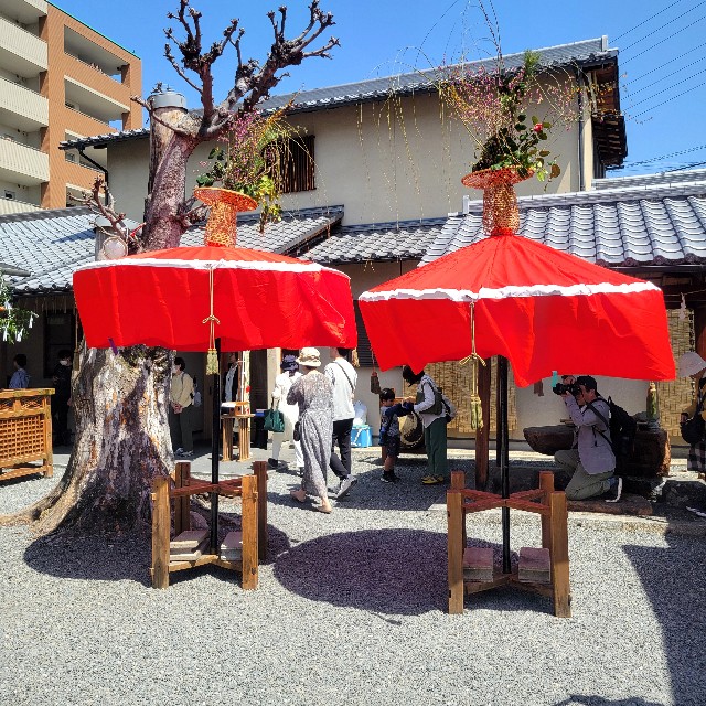 f:id:atoriatoriatori:20240502202845j:image