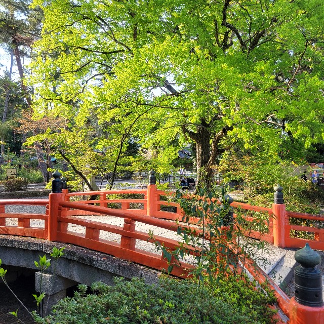 f:id:atoriatoriatori:20240504221353j:image