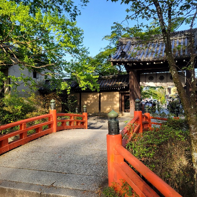 f:id:atoriatoriatori:20240504221400j:image
