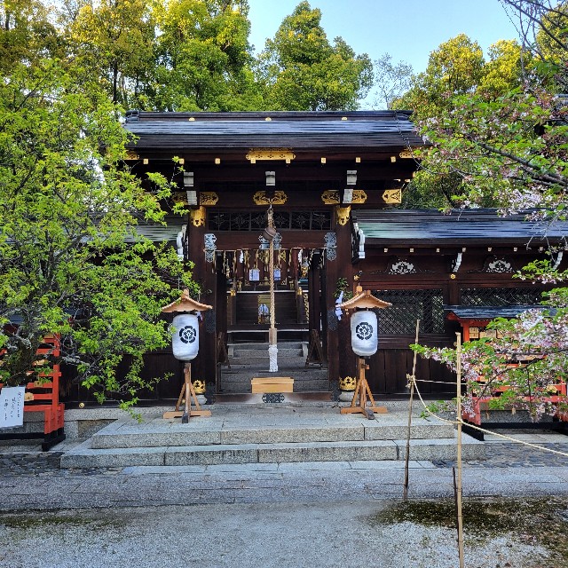 f:id:atoriatoriatori:20240504221627j:image