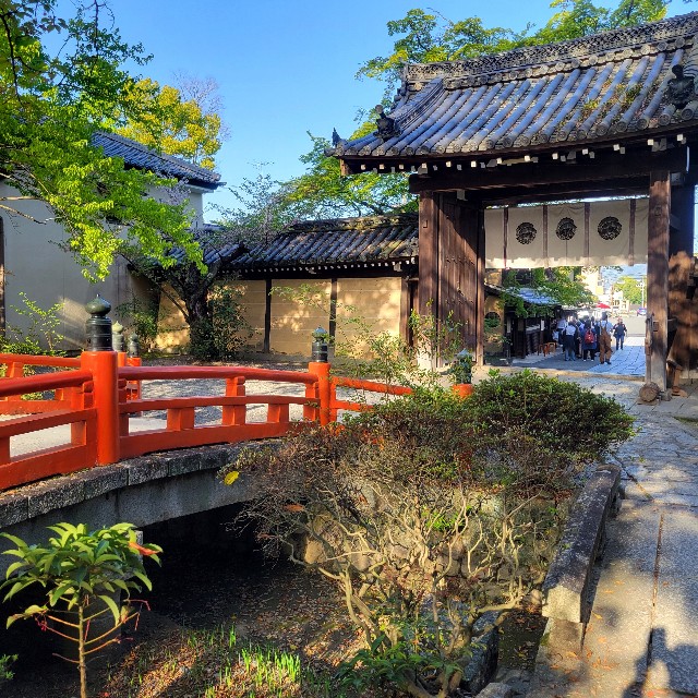 f:id:atoriatoriatori:20240505112215j:image