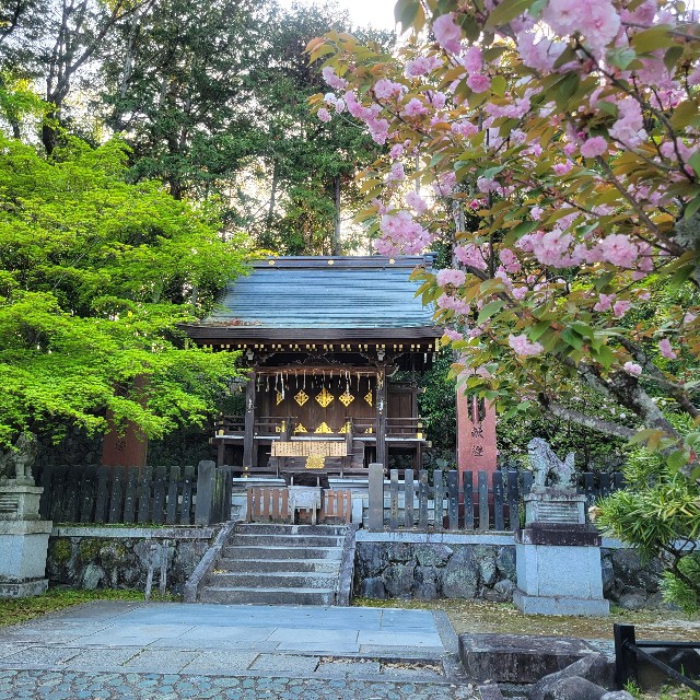 f:id:atoriatoriatori:20240505125541j:image