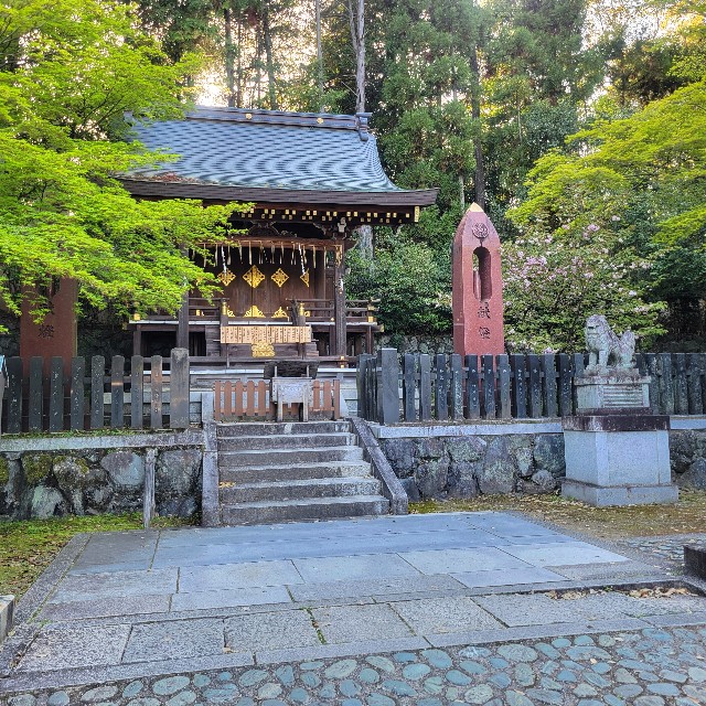 f:id:atoriatoriatori:20240505125549j:image