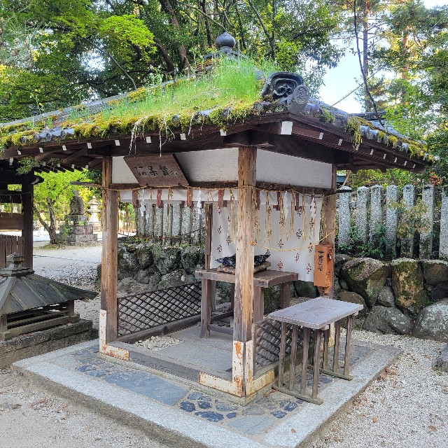 f:id:atoriatoriatori:20240505125903j:image