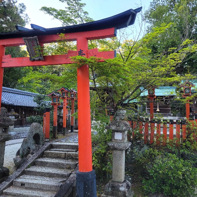 f:id:atoriatoriatori:20240505133335j:image