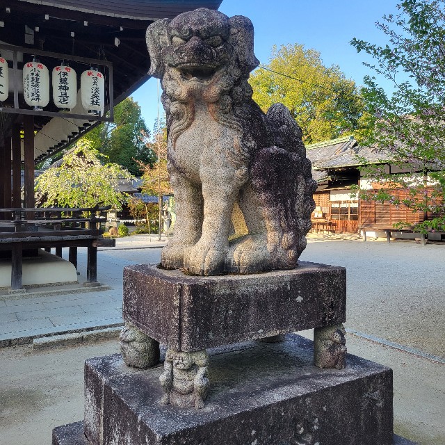 f:id:atoriatoriatori:20240505134504j:image