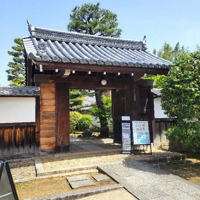 f:id:atoriatoriatori:20240505163825j:image