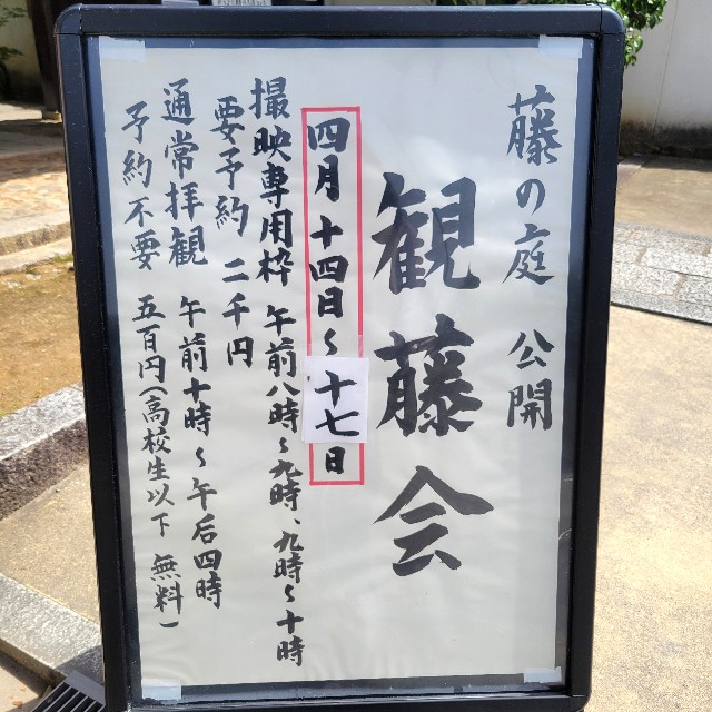 f:id:atoriatoriatori:20240505163832j:image