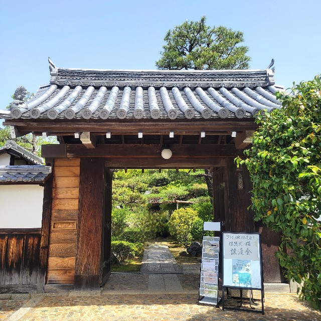 f:id:atoriatoriatori:20240505175427j:image