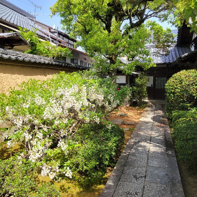 f:id:atoriatoriatori:20240505195703j:image