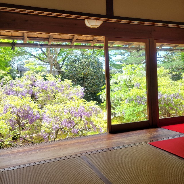 f:id:atoriatoriatori:20240505200353j:image