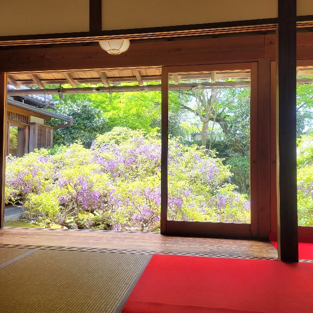f:id:atoriatoriatori:20240505200359j:image