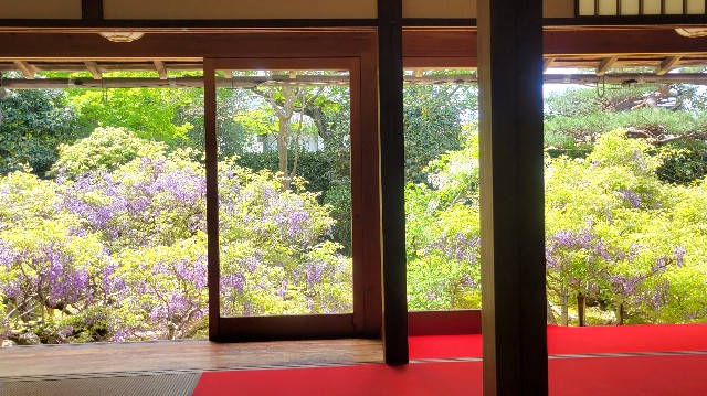 f:id:atoriatoriatori:20240505212007j:image