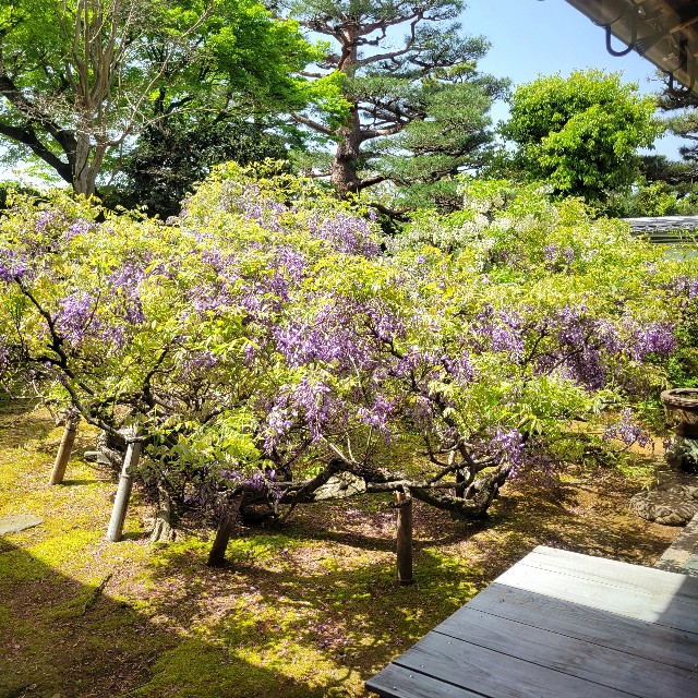 f:id:atoriatoriatori:20240506093439j:image