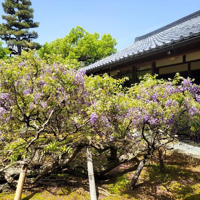 f:id:atoriatoriatori:20240506093458j:image