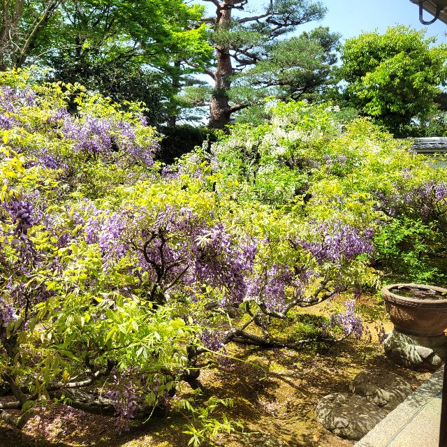 f:id:atoriatoriatori:20240506093504j:image