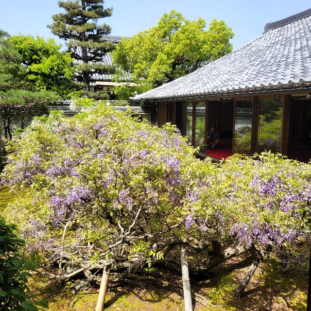 f:id:atoriatoriatori:20240506094616j:image