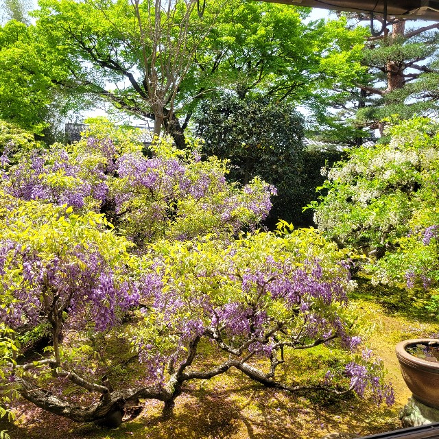f:id:atoriatoriatori:20240506094626j:image