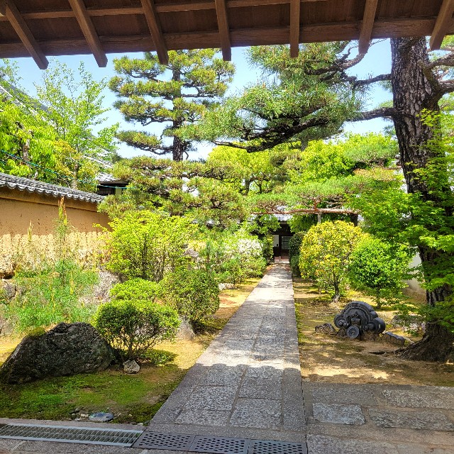 f:id:atoriatoriatori:20240506095511j:image