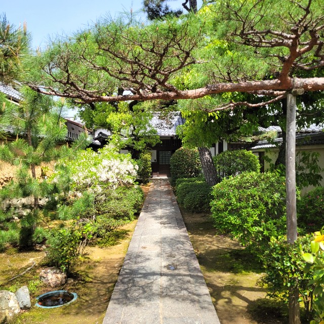 f:id:atoriatoriatori:20240506095524j:image