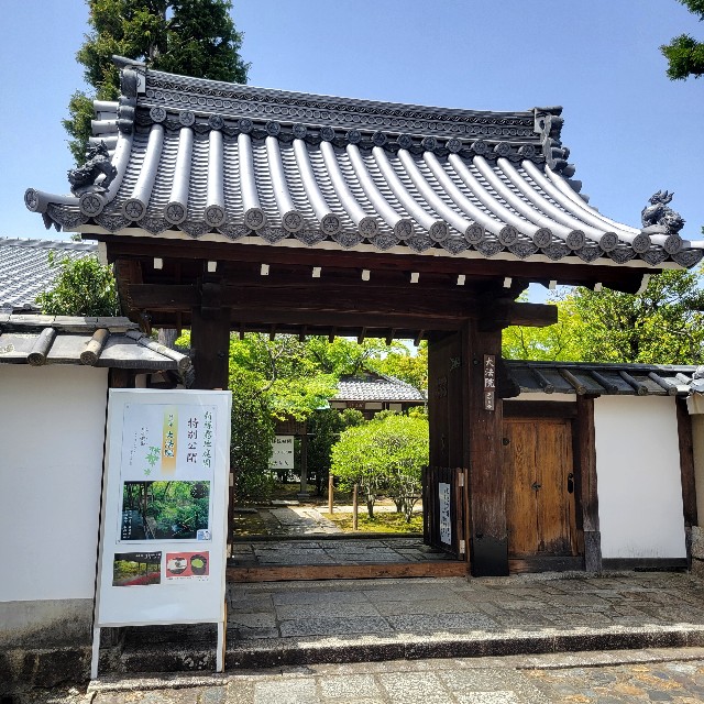 f:id:atoriatoriatori:20240507085753j:image