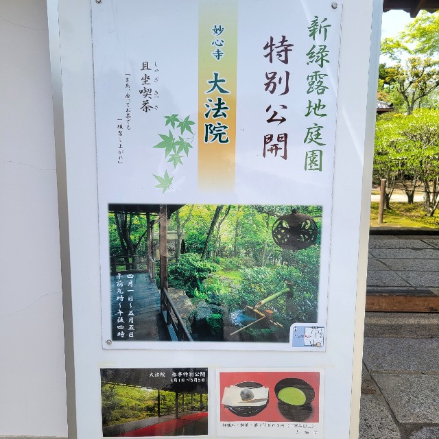 f:id:atoriatoriatori:20240507085810j:image