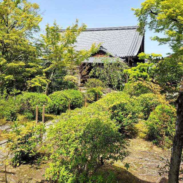 f:id:atoriatoriatori:20240507110614j:image