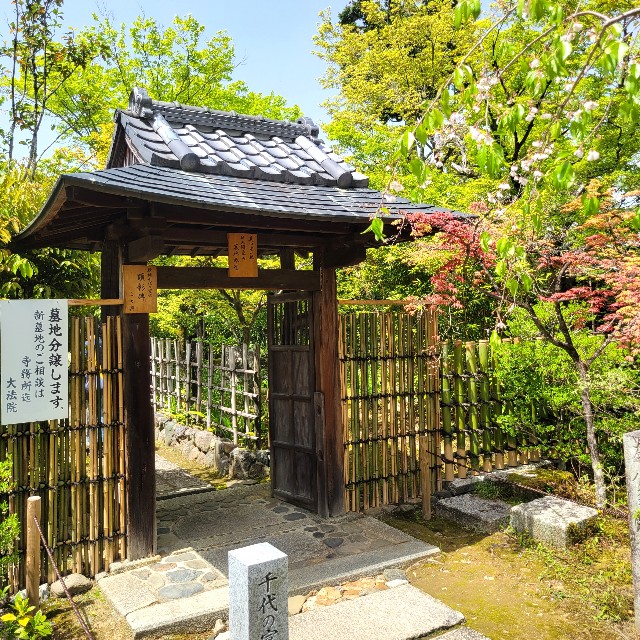f:id:atoriatoriatori:20240507211132j:image
