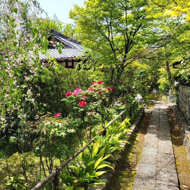 f:id:atoriatoriatori:20240507211332j:image