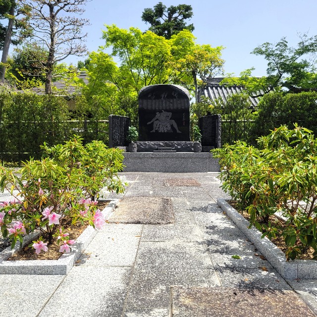 f:id:atoriatoriatori:20240507211751j:image