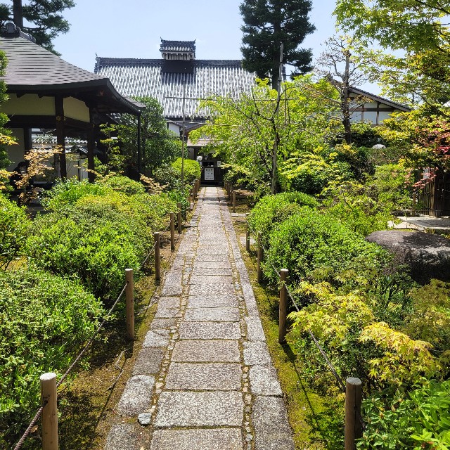 f:id:atoriatoriatori:20240507212410j:image