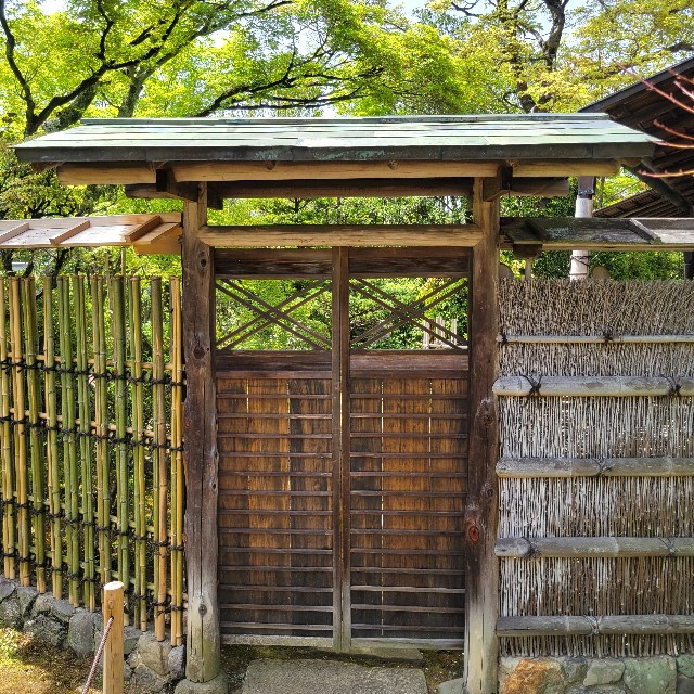 f:id:atoriatoriatori:20240507215914j:image