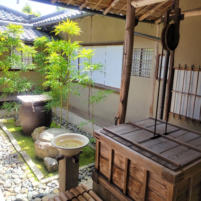 f:id:atoriatoriatori:20240508084930j:image