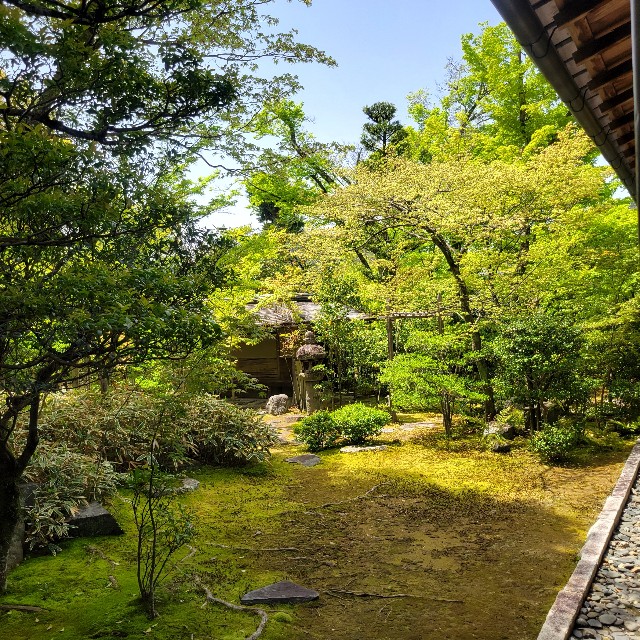 f:id:atoriatoriatori:20240508084952j:image