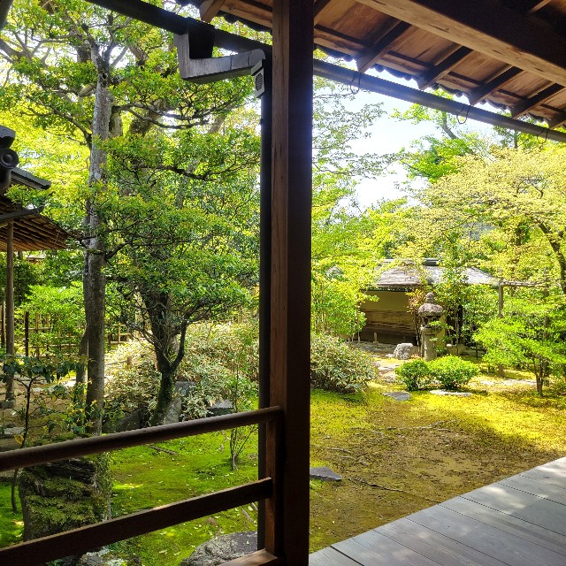 f:id:atoriatoriatori:20240508085004j:image