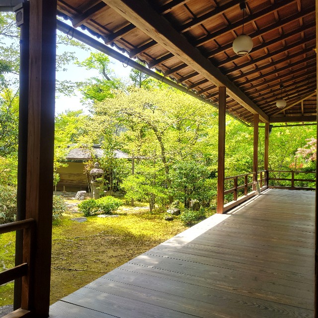 f:id:atoriatoriatori:20240508085014j:image
