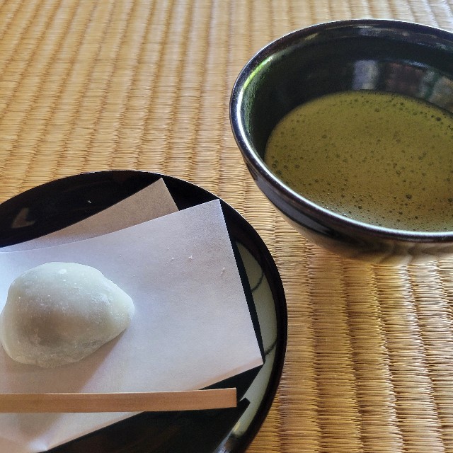 f:id:atoriatoriatori:20240508085033j:image