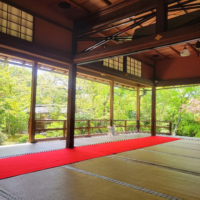 f:id:atoriatoriatori:20240508095001j:image