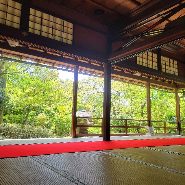 f:id:atoriatoriatori:20240508095010j:image