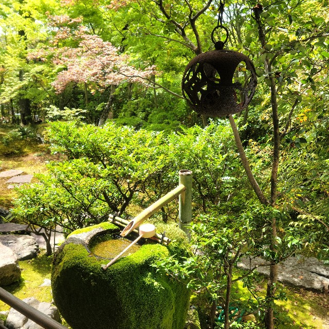 f:id:atoriatoriatori:20240508111651j:image