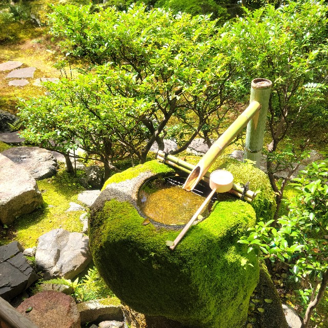 f:id:atoriatoriatori:20240508111709j:image