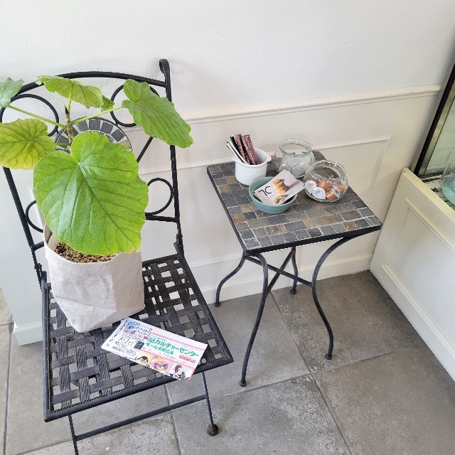 f:id:atoriatoriatori:20240511165909j:image