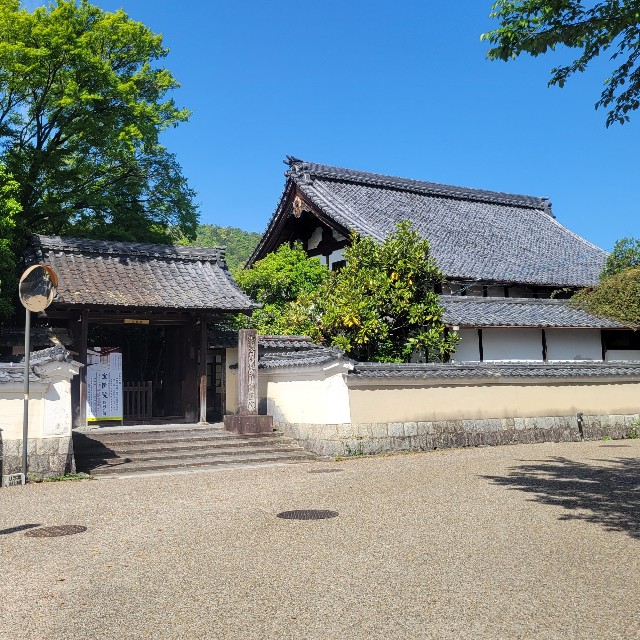 f:id:atoriatoriatori:20240512185629j:image
